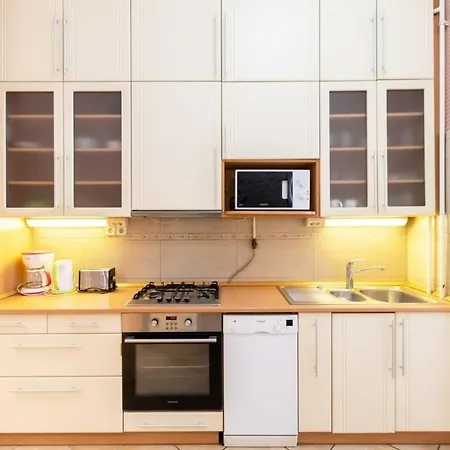 公寓 Spacious And Comfy Very 布达佩斯